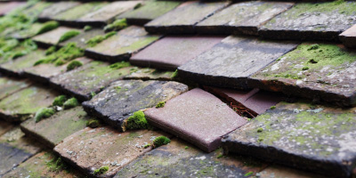 Redbrook roof repair costs